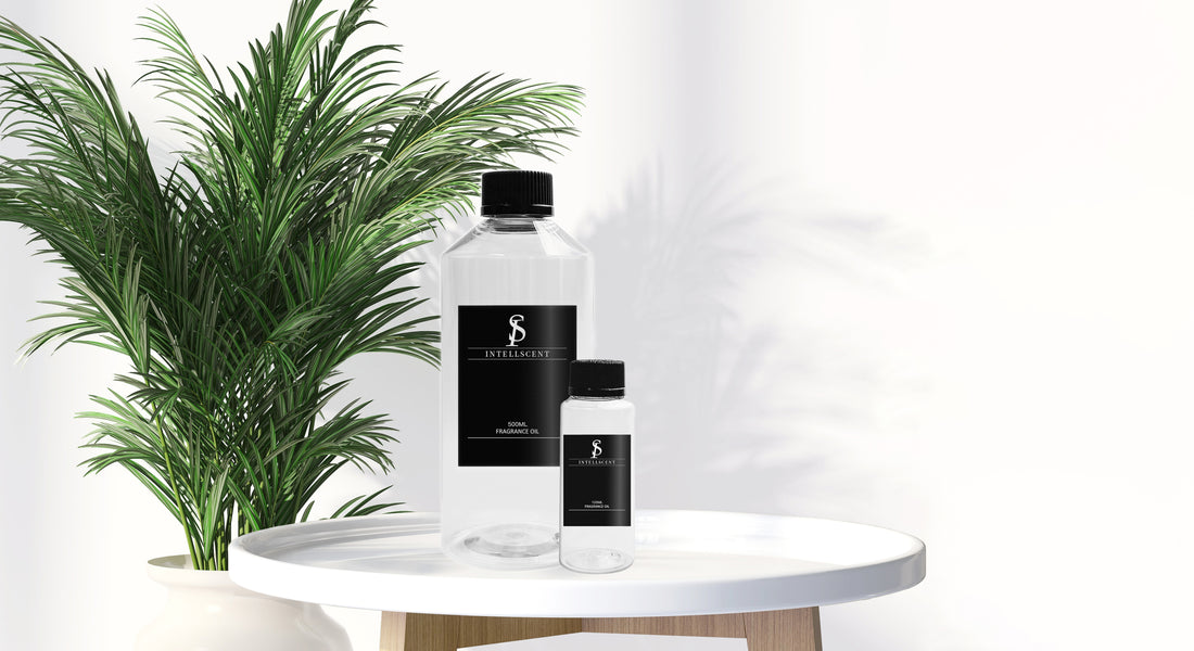 The Science Behind Scent and Mood: Unlock the Power of Aromas in Your Daily Life