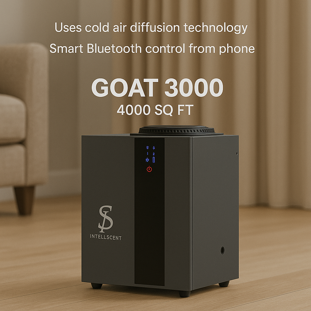 50% Off Diffuser with An Oil Plan